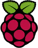 Raspberry Pi Logo